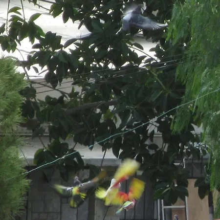 Casa De Sonrisa * Torrevieja