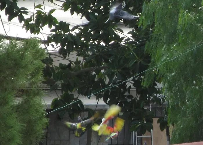 Holiday home Casa De Sonrisa *