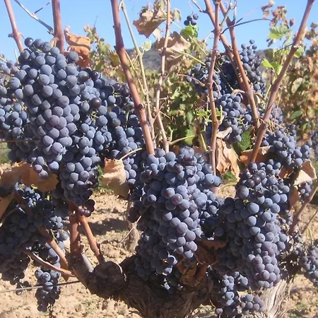 Casa vacanze Casa De Sonrisa *